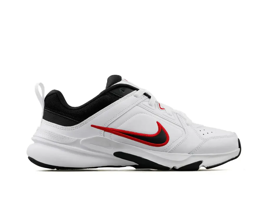 Chaussures Nike Defyallday