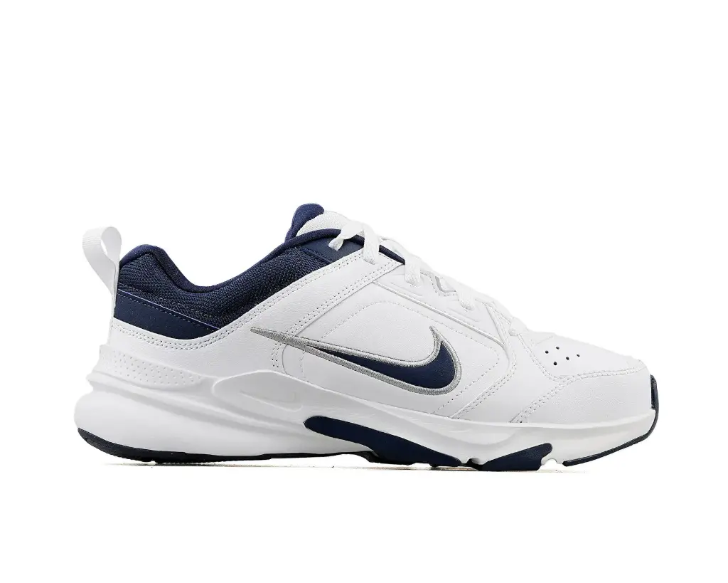 Chaussures Nike Defyallday