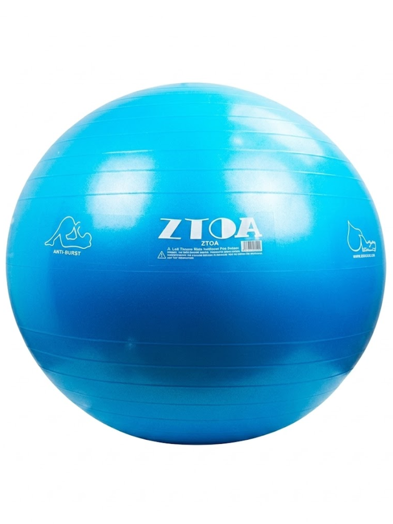 Gym Ball Gymnastic 55 Cm