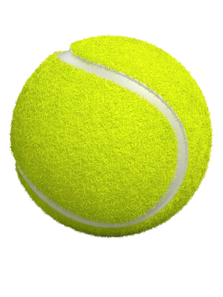 Boite 3 Ball Tennis Premium