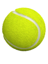 Boite 3 Ball Tennis Premium