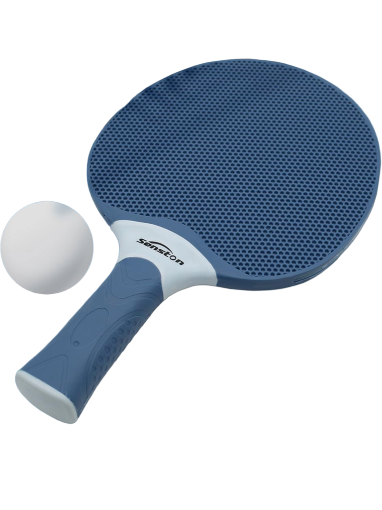 Double Raquette Ping Pong 4 Saisons
