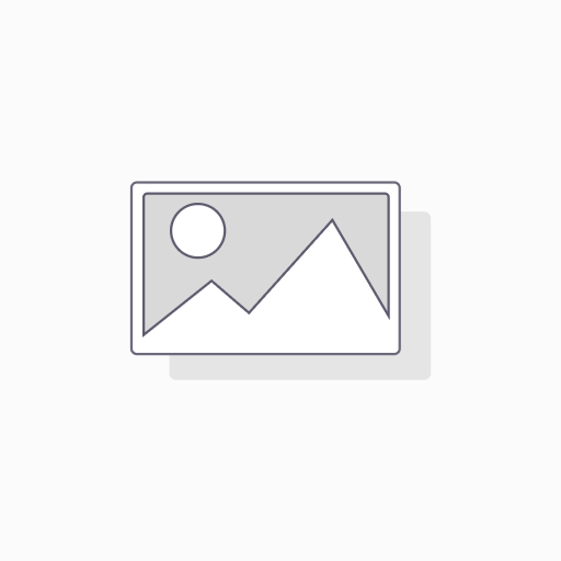 MUSICAL BOXING PRO