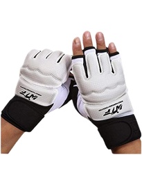 Gant Taekwondo